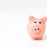 Picture of a piggy bank,