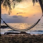 A hammock between two palm trees on a tropical beach