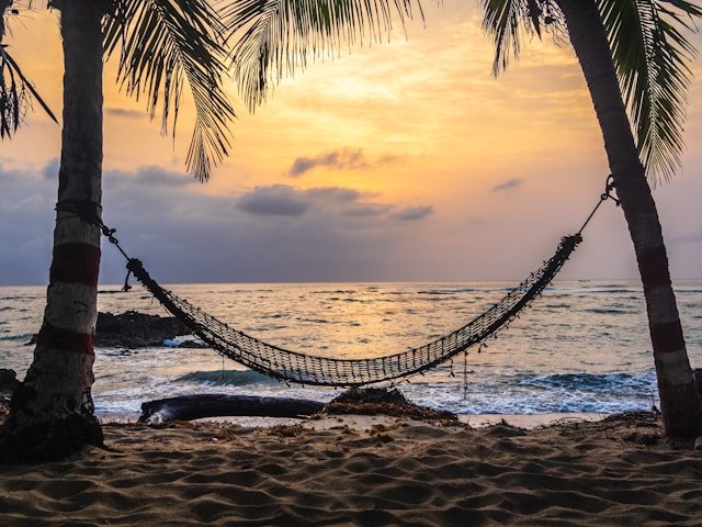 A hammock between two palm trees on a tropical beach